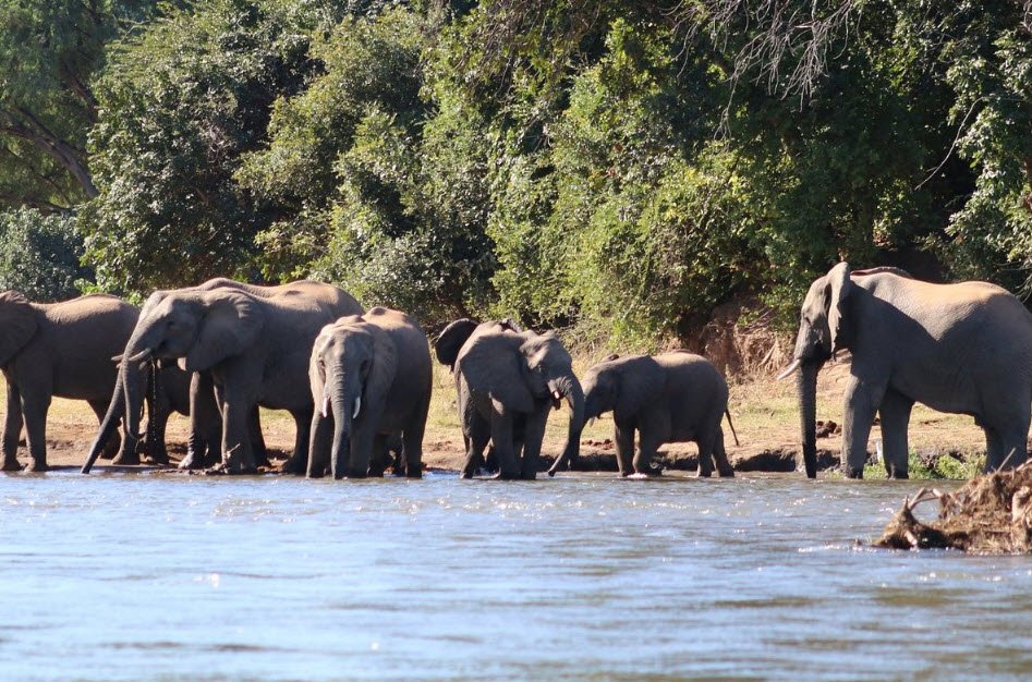 Lower Zambezi National Park, Lusaka Province (Near Chirundu), Zambia
